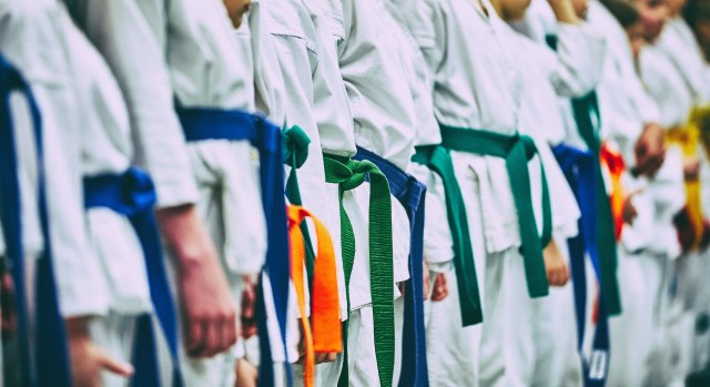 Karate vs. Judo: Exploring the Variances in Technique and Philosophy