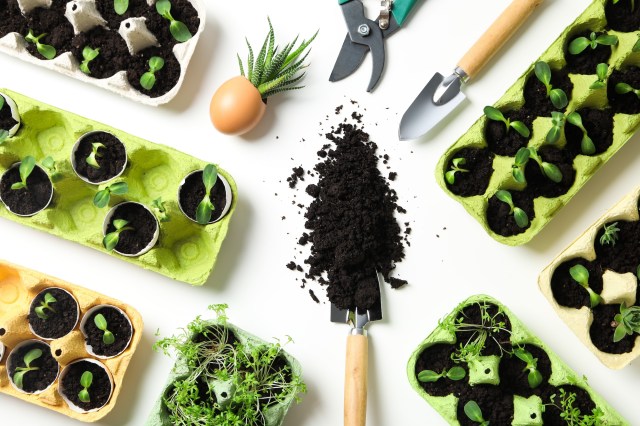 The Ultimate Guide: How to Identify Biodegradable Products
